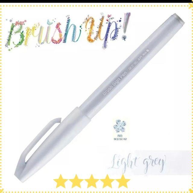 Bút viết thư pháp PENTEL Sign brush pen, fude touch 12 màu mới 2020 SES15C