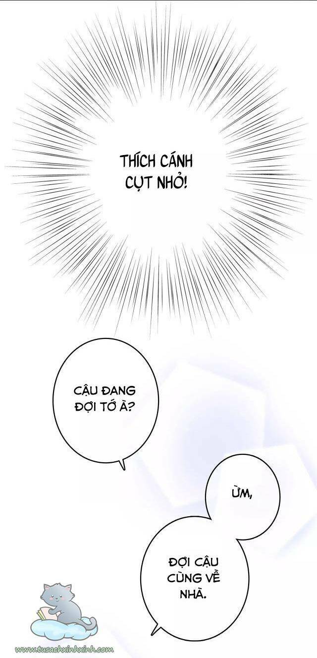 con tim rung động 3 chapter 53 26