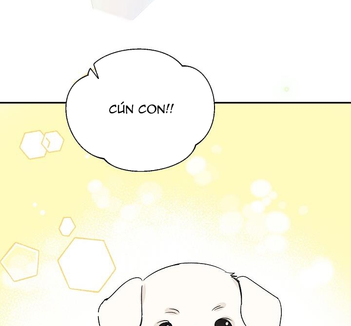 xác suất tình yêu chapter 38 19