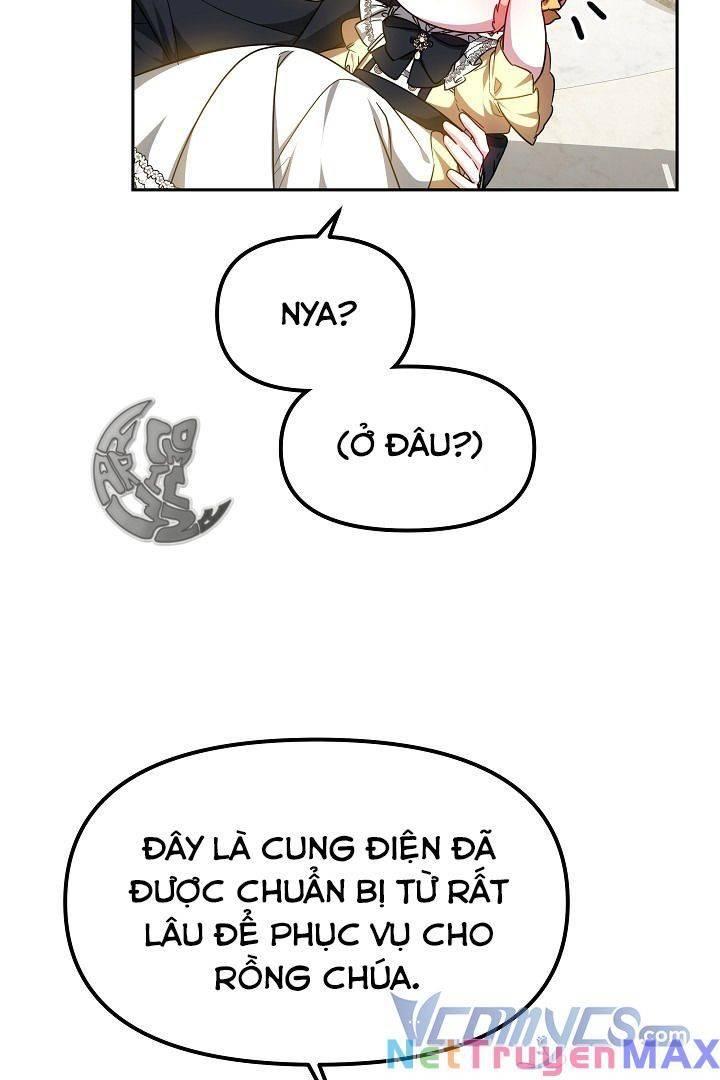 rồng con thuần hóa những kẻ điên chapter 15 52