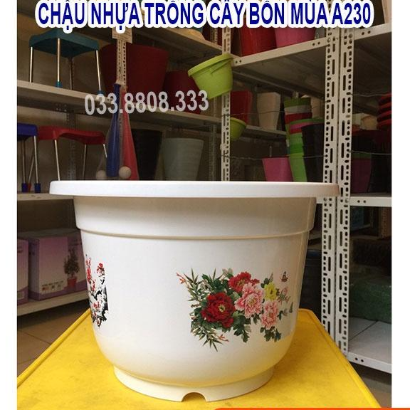 5 Chậu Nhựa Bốn Mùa A220 -Chậu Tròn Trắng Trồng Hoa Cây Cảnh