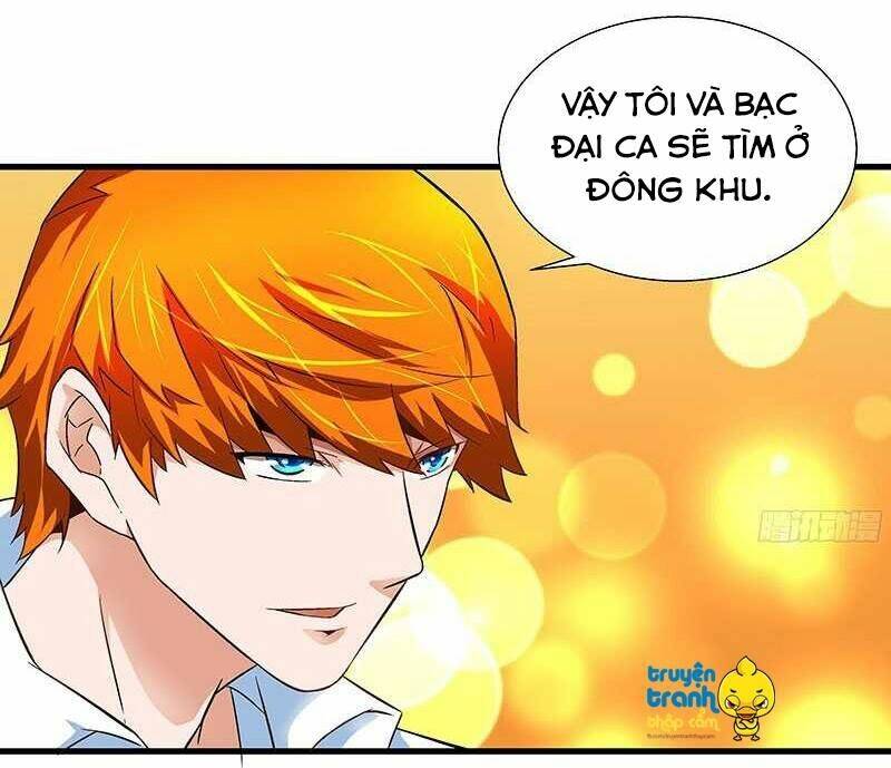 cường sủng hào môn tiểu manh thê chapter 52 29