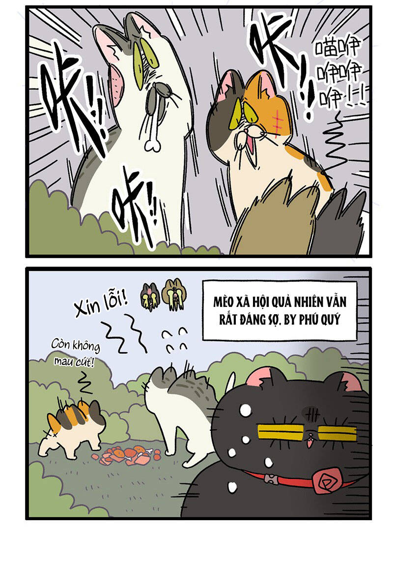 a mãn và mạch trà chapter 38.1 6