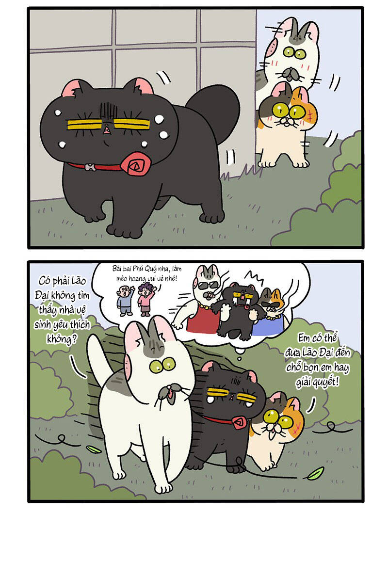 a mãn và mạch trà chapter 38 4