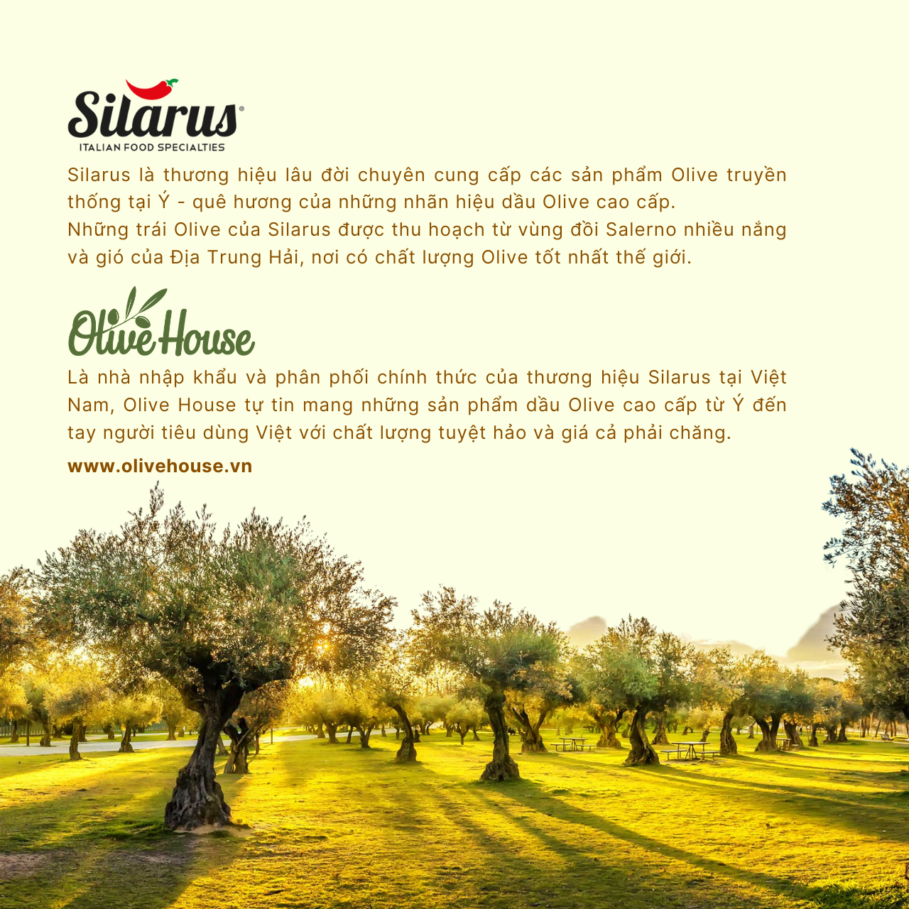 Dầu Olive POMACE Silarus 5 Lít dùng chiên rán, nấu ăn hằng ngày, giảm chất béo có hại - thương hiệu Silarus nhập khẩu từ Ý