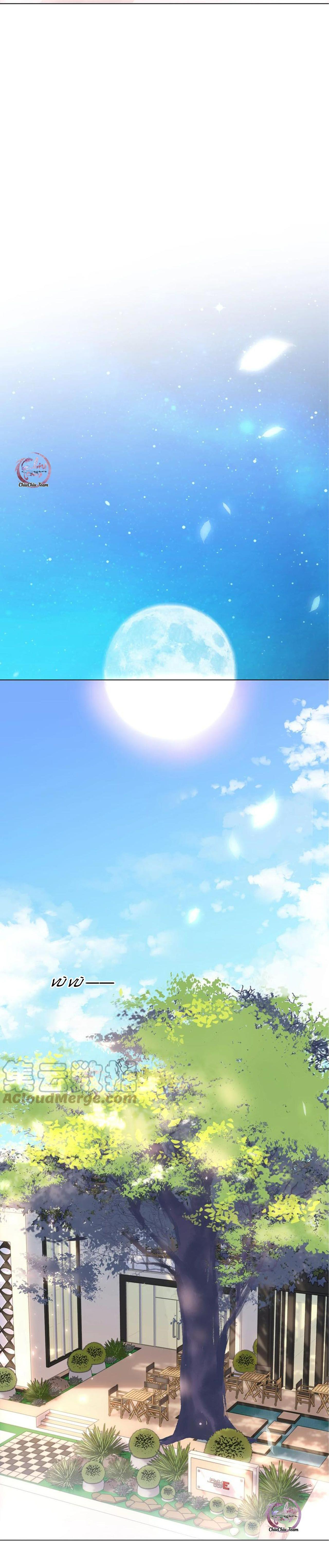 không làm trai bao! chapter 42 17