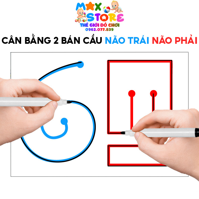 Đồ Chơi Rèn Luyện Phát Triển Và Cân Bằng 2 Bán Cầu Não Trái Não Phải Cho Bé