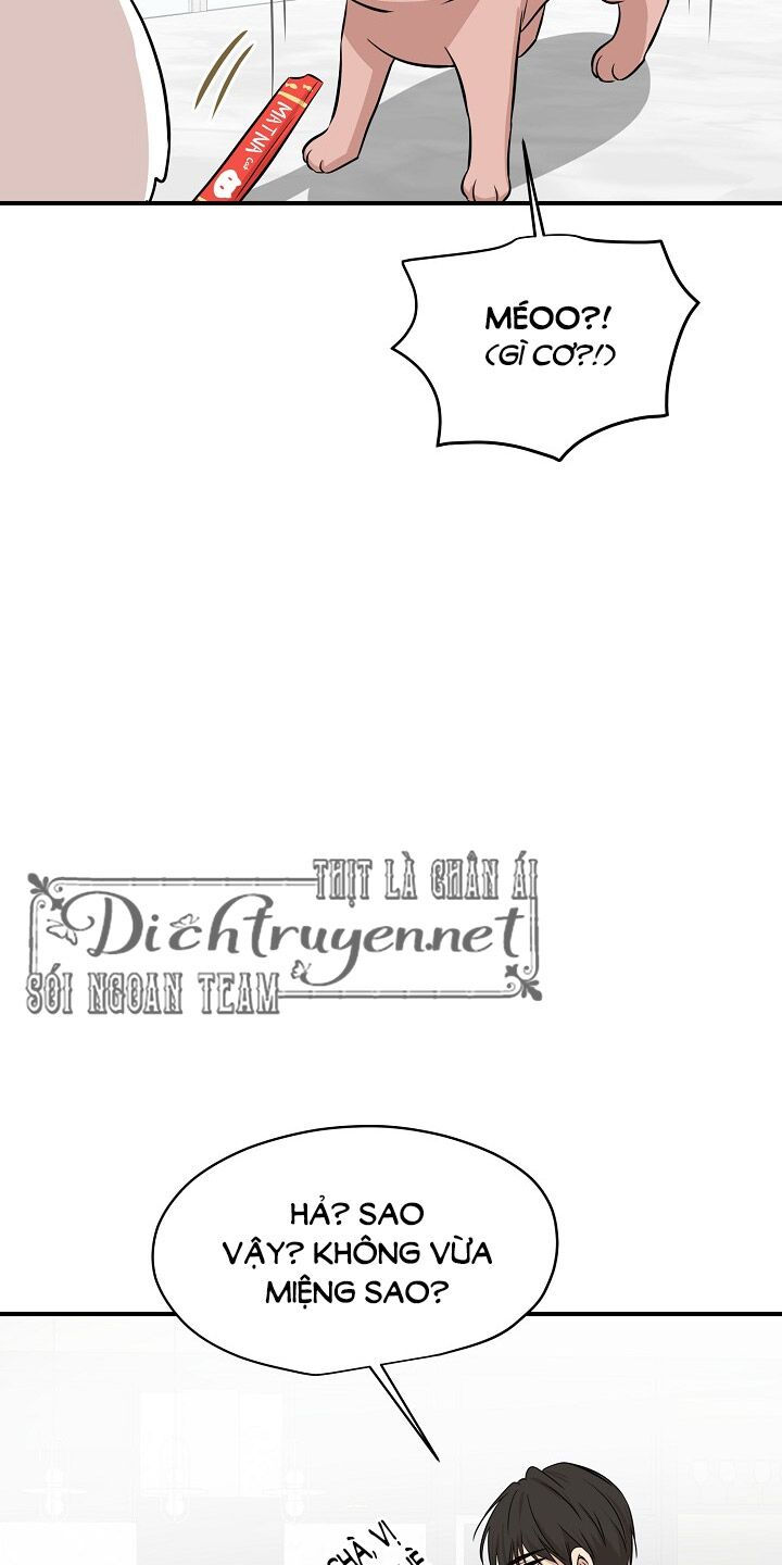 cuộc sống kỳ thú chapter 44 50