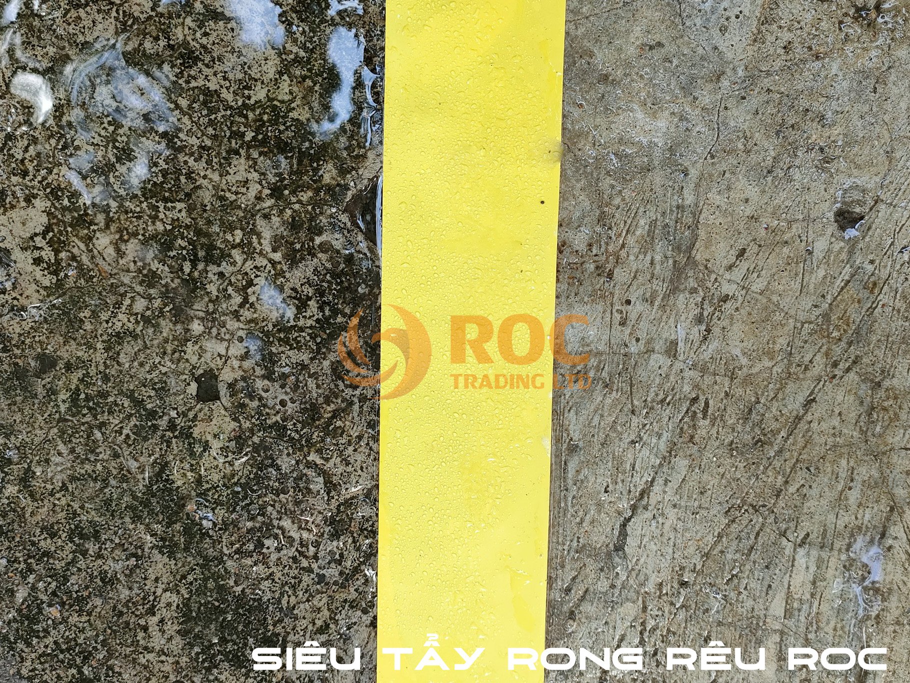 Siêu tẩy rong rêu  - Tẩy rong rêu không chạm, không máy áp lực