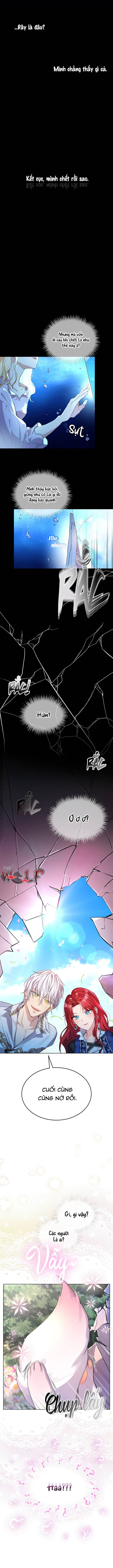 tái sinh thành bé thần thú nhỏ chapter 0 10