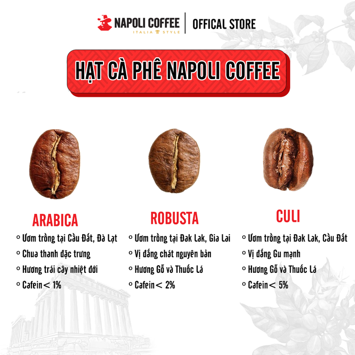 Cà Phê Arabica ETHIOPIA Rang Nguyên Hạt  - Chua Thanh, Hương Thảo Mộc - Dùng Pha Máy Hoặc Phin Cao Cấp 250g/túi