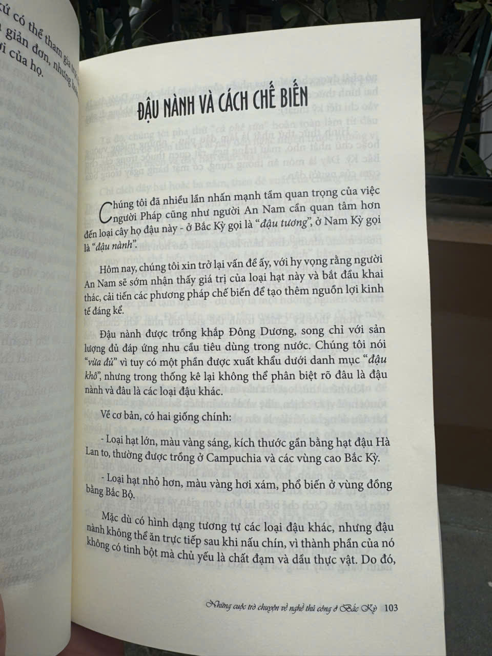 LÀNG NGHỀ TRUYỀN THỐNG – Dưới Góc Nhìn Của Người Nước Ngoài – Hồng Nhung dịch  – Sách Miền Trung