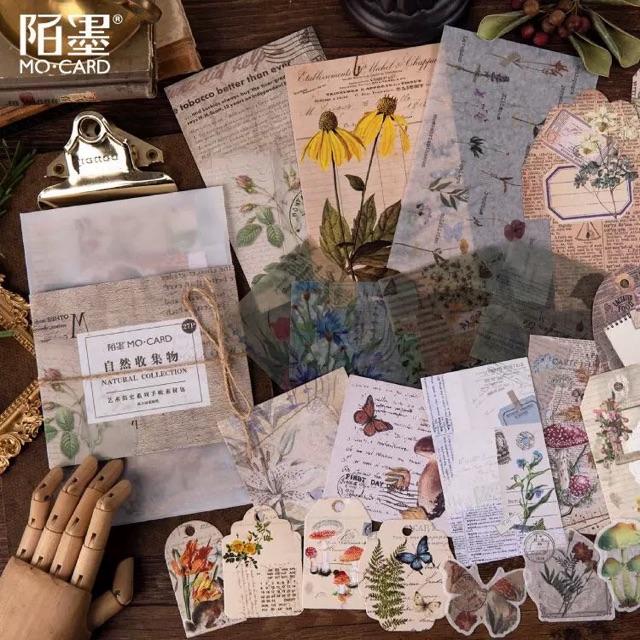 Set vintage làm penpal