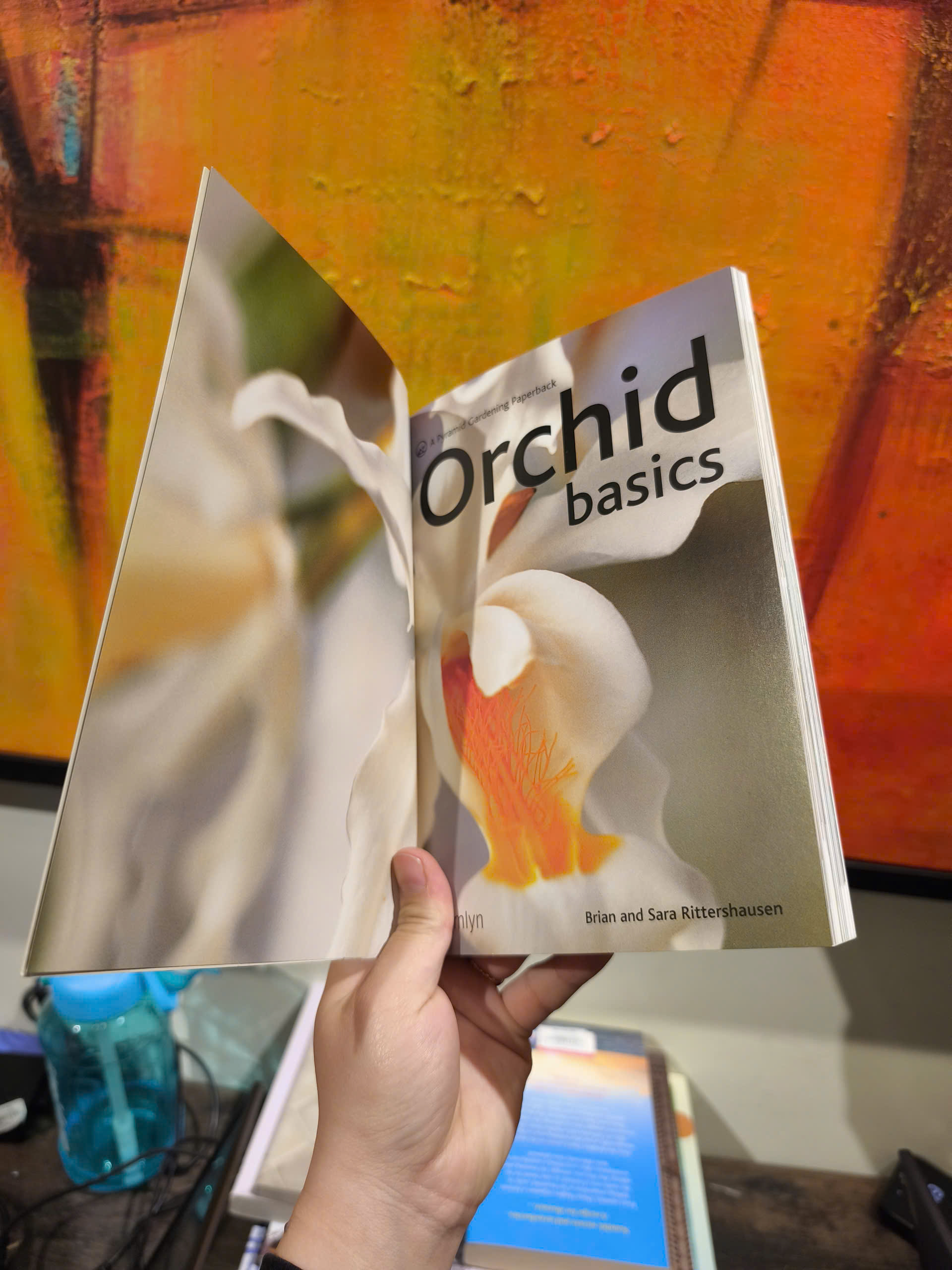 Sách - Orchid Basics by Brian Rittershausen - Gardening Book
