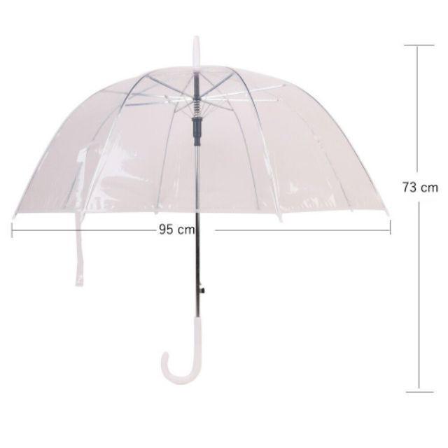 ️️ Dù trong suốt đi mưa chụp ảnh nghệ thuật sang chảnh