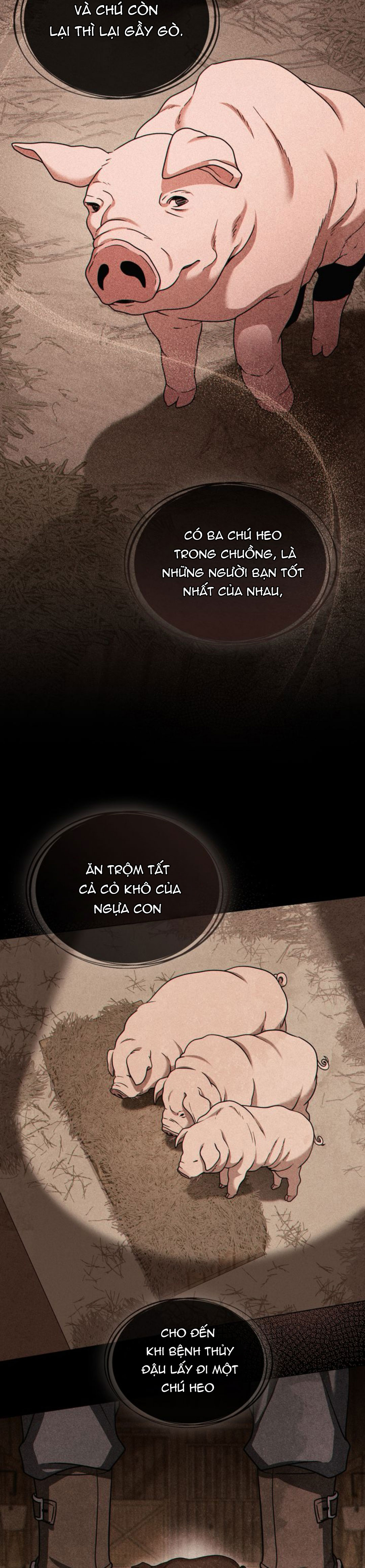 tôi có thể nhìn thấy thông số của cậu chapter 5 5