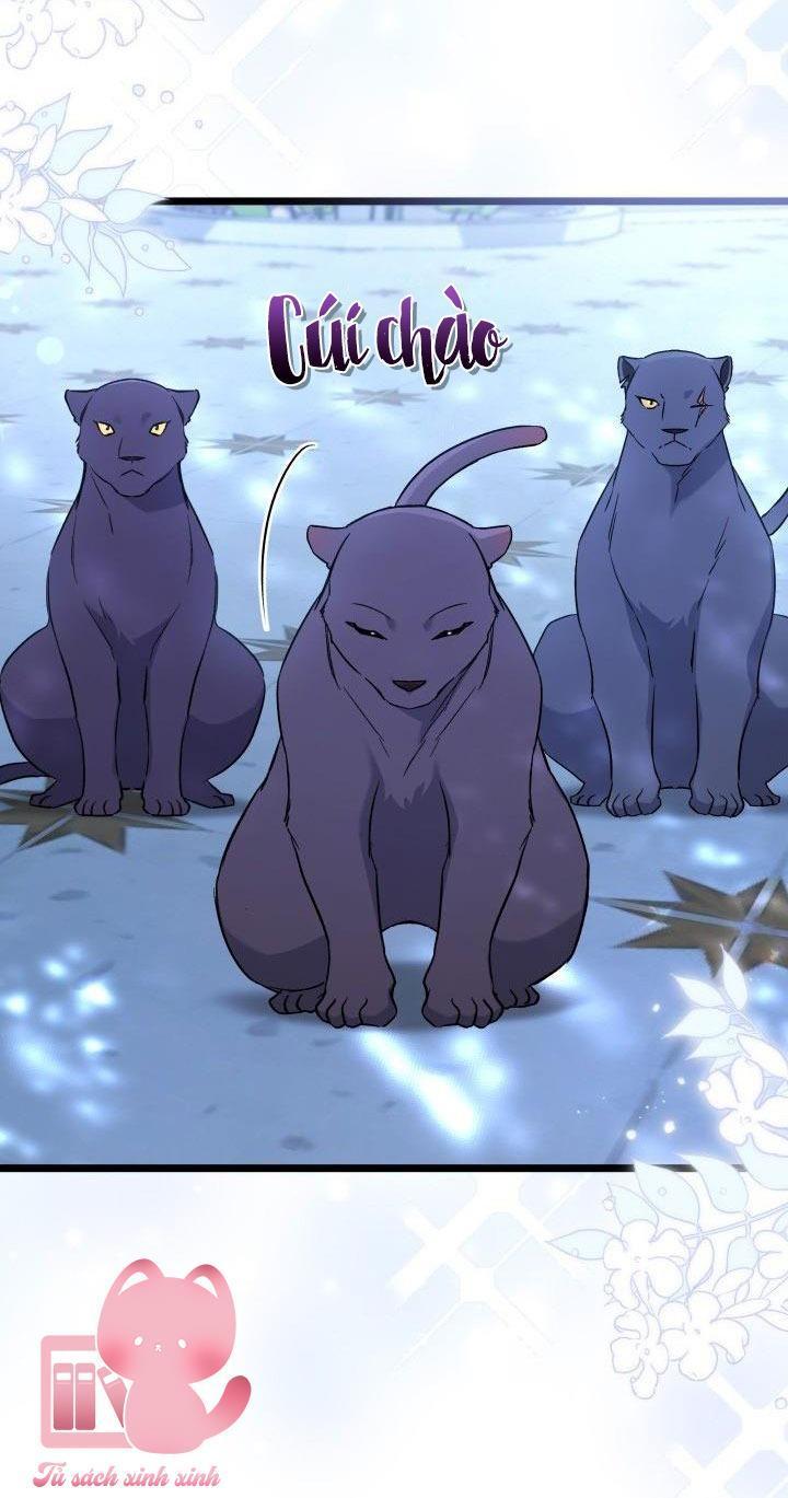 quan hệ cộng sinh giữa báo đen và thỏ trắng chapter 109 42