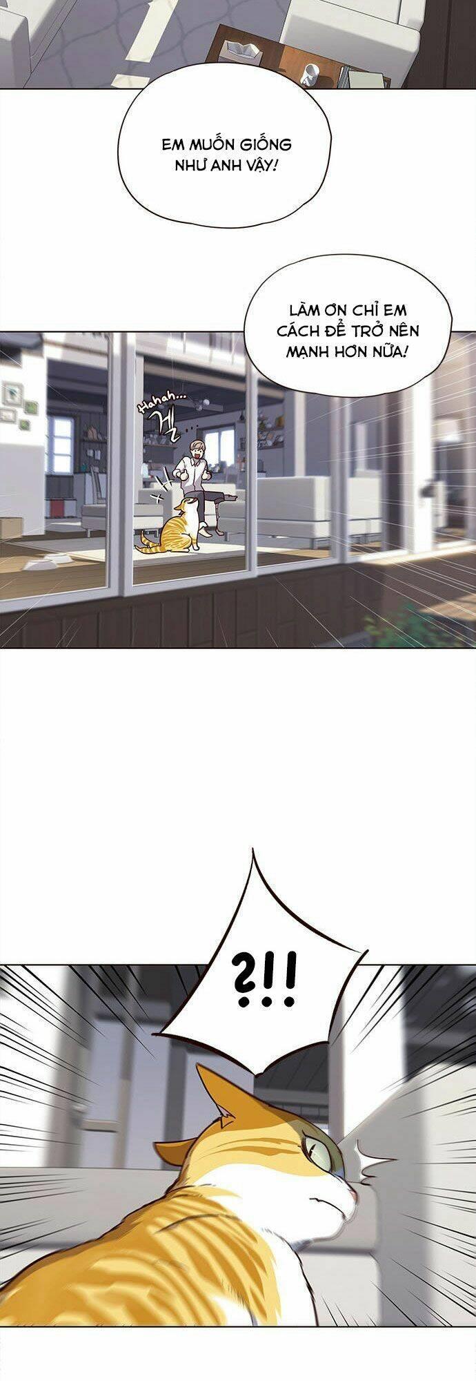 biến thân thành mèo chapter 16 33