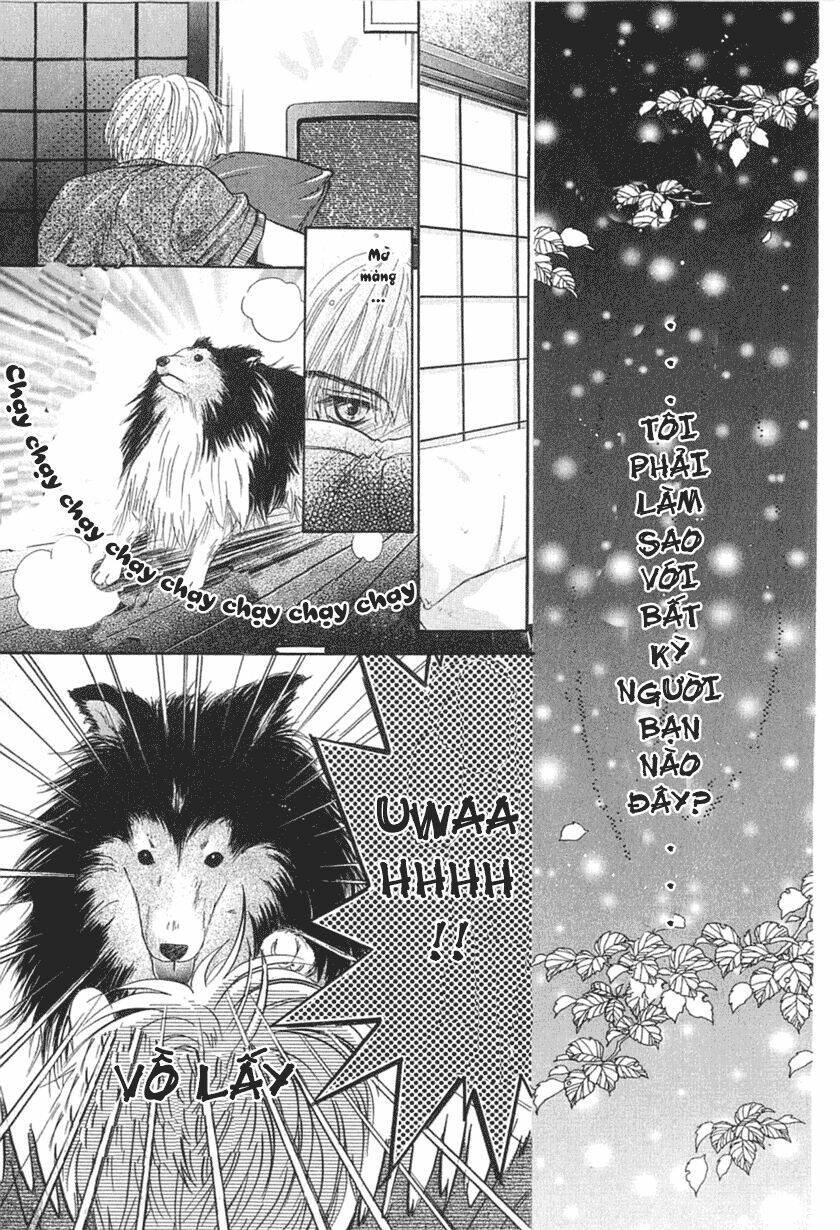 komatta toki ni wa hoshi ni kike! chapter 23 28