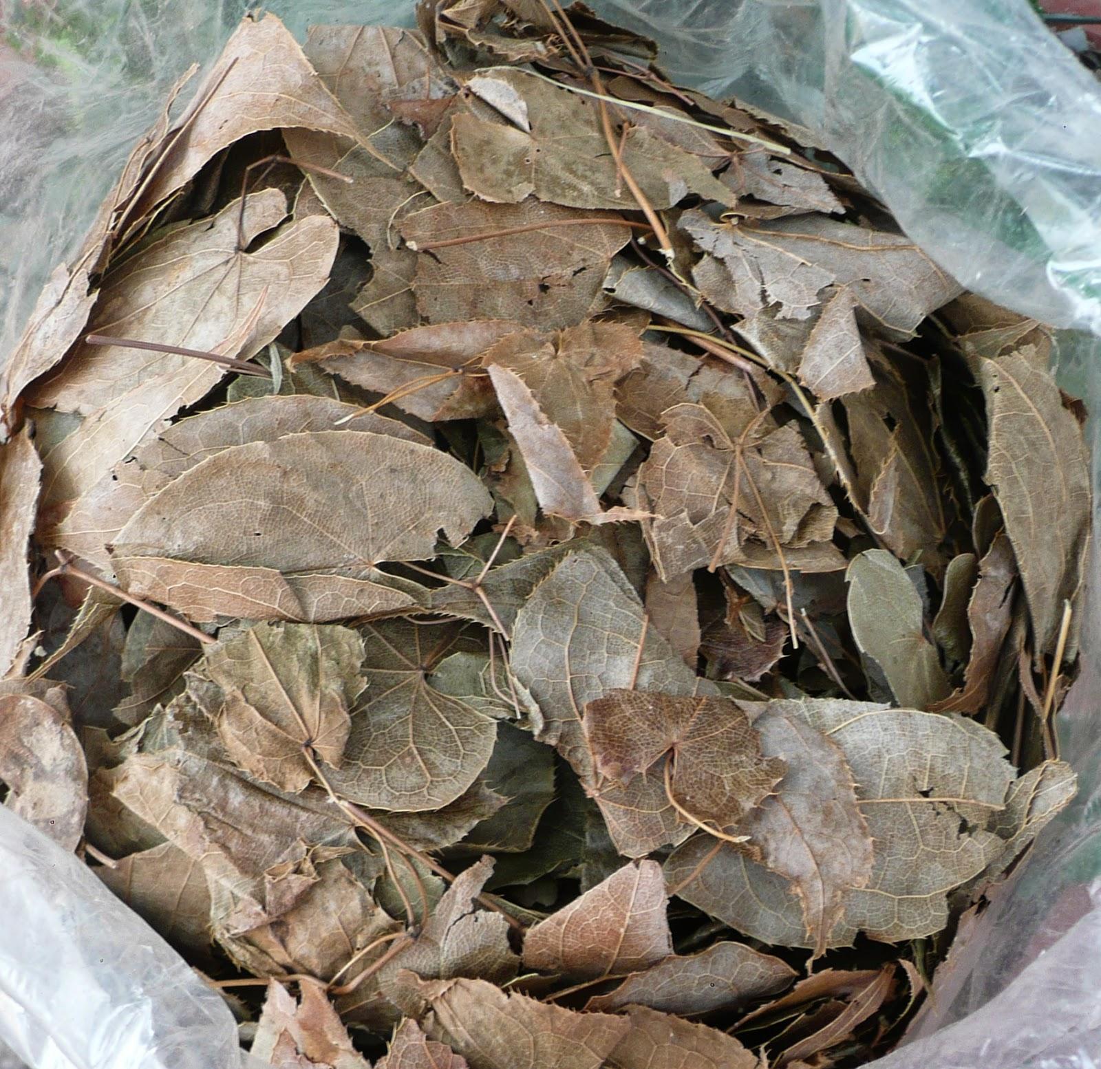 Cây dâm dương hoắc - Lá dâm dương hoắc khô 500gr