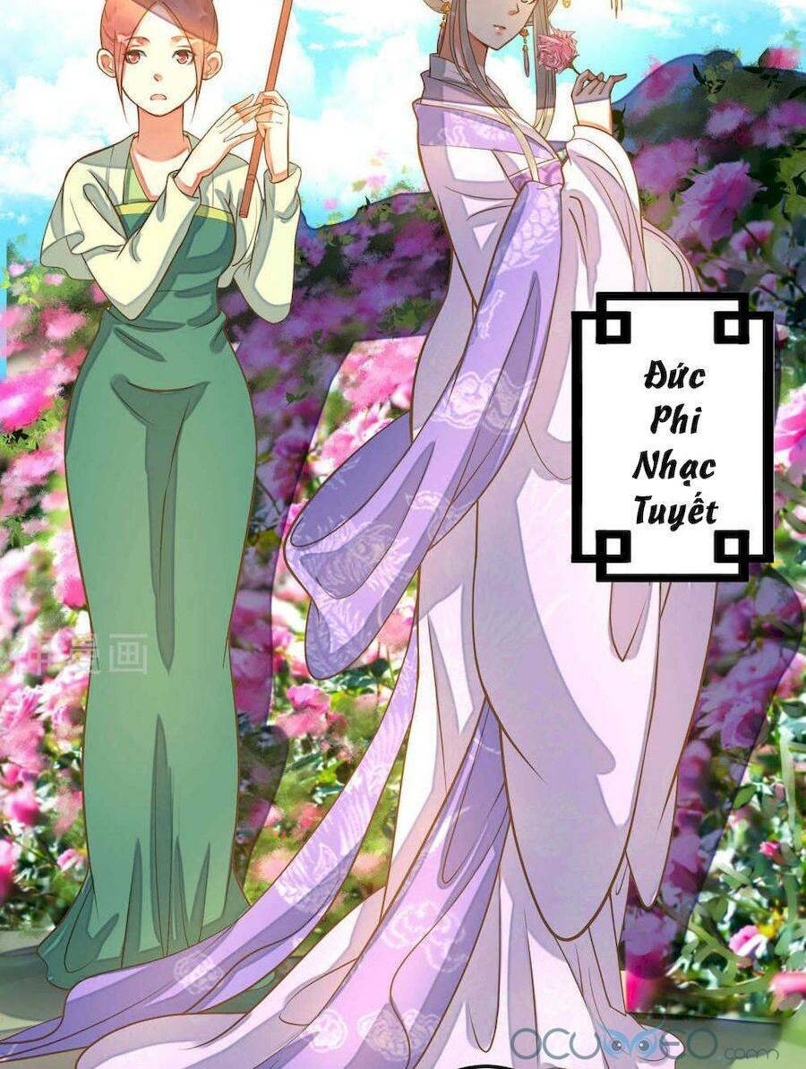 quý phi này có chút cơ chapter 4 33