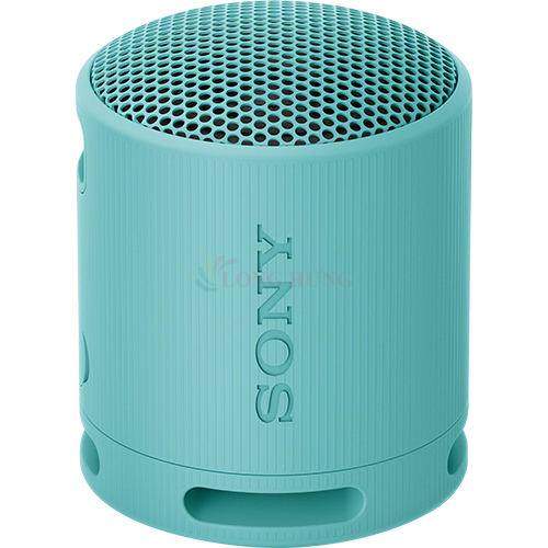 Loa Bluetooth Sony SRS-XB100 - Hàng chính hãng