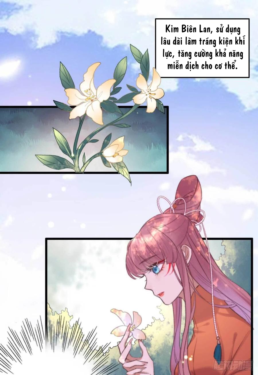 đế tôn cuồng sủng: thần y đặc công phế tài phi chapter 4 9