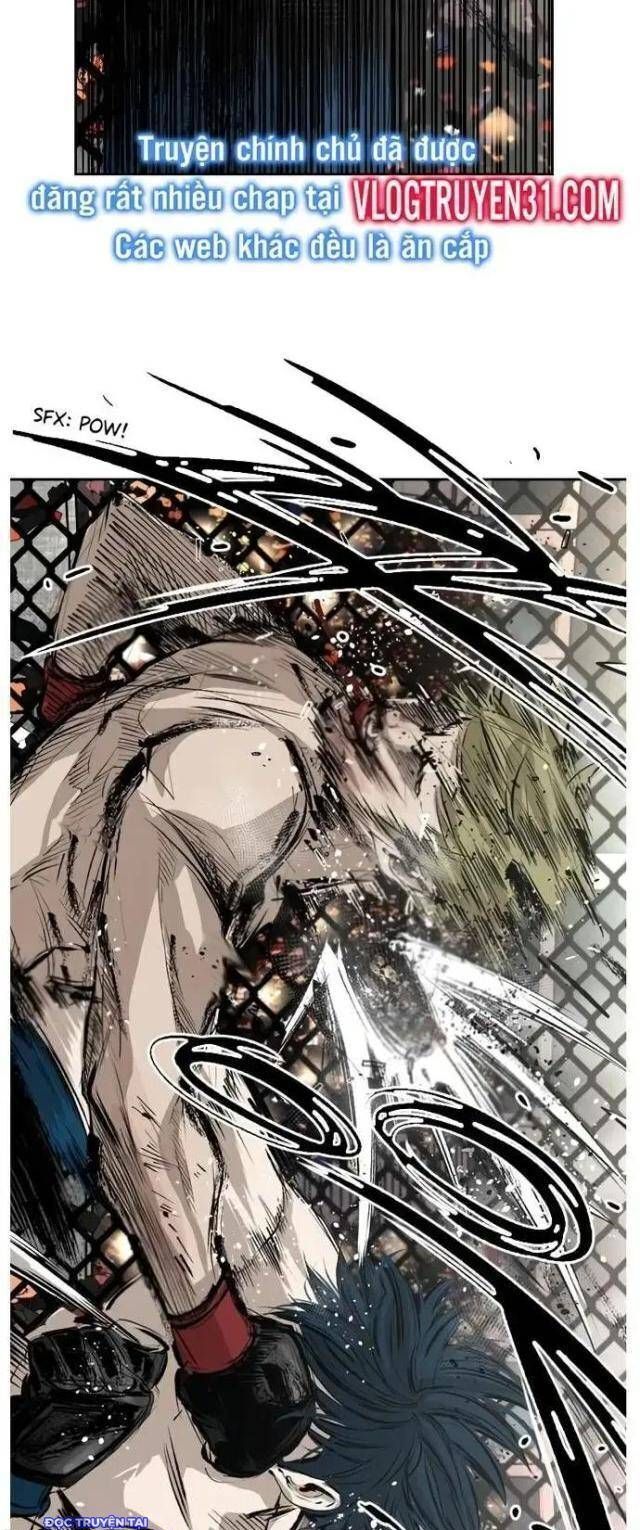 shark - cá mập chapter 143 41