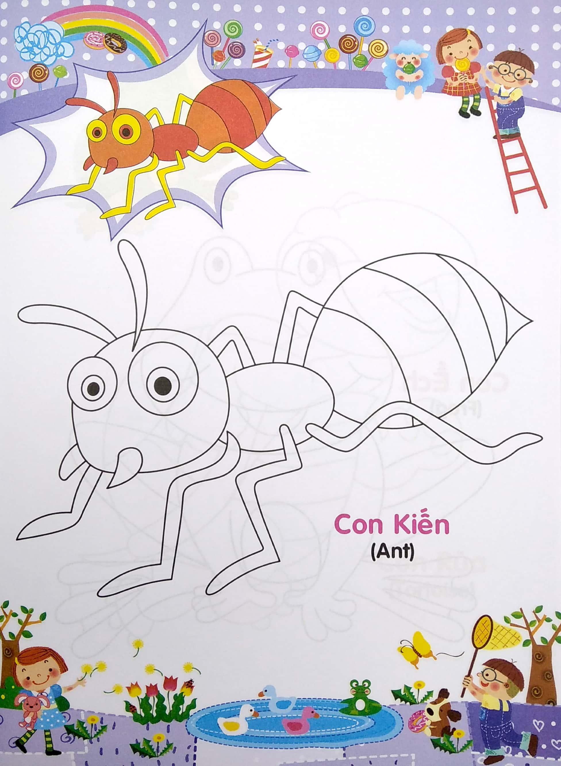 Bé Tập Tô Màu Và Học Tiếng Anh Theo Chủ Đề - Bò Sát Và Côn Trùng