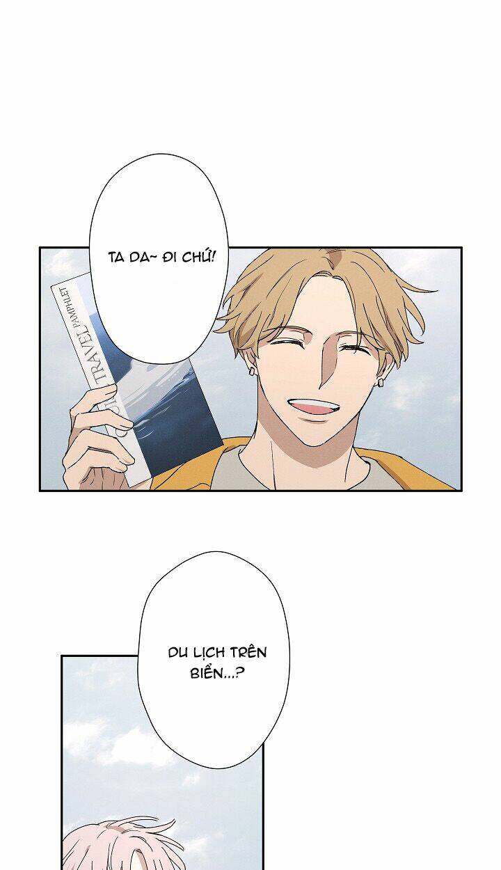 trốn tìm chapter 24 2