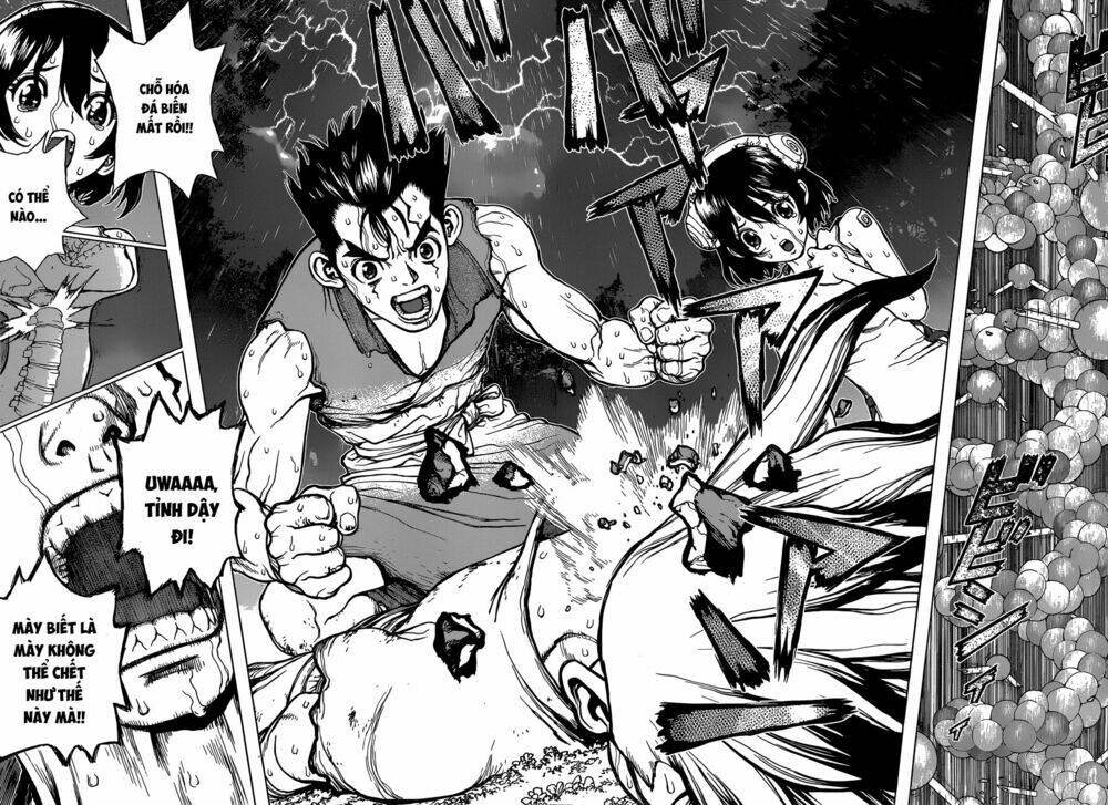 dr.stone - hồi sinh thế giới chapter 12 15