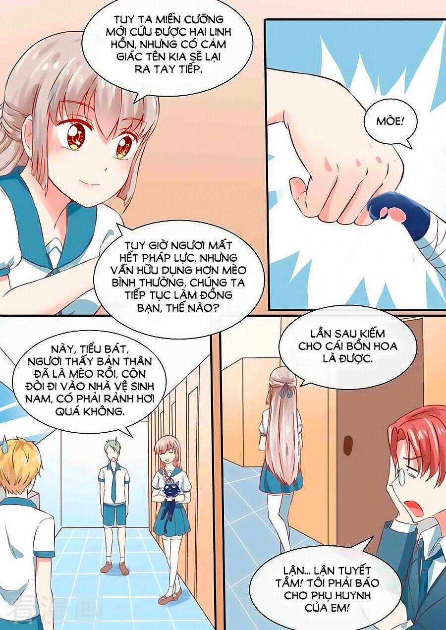 luyến ái sinh tử bộ chapter 49 6