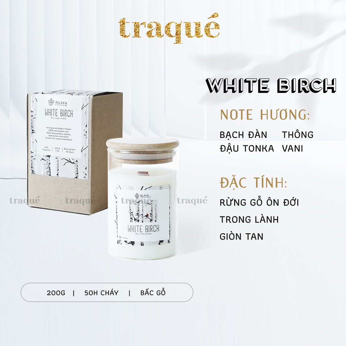 Nến thơm tinh dầu cao cấp không khói an toàn Candle Cup - WHITE BIRCH - M - 200G