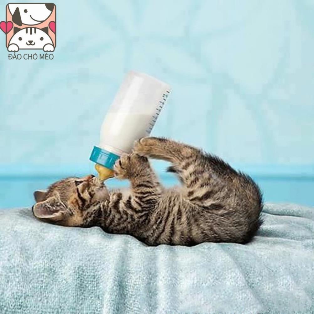 Bình sữa chó mèo nhỏ loại đẹp cho chó mèo chai 60ml vạch đỏ