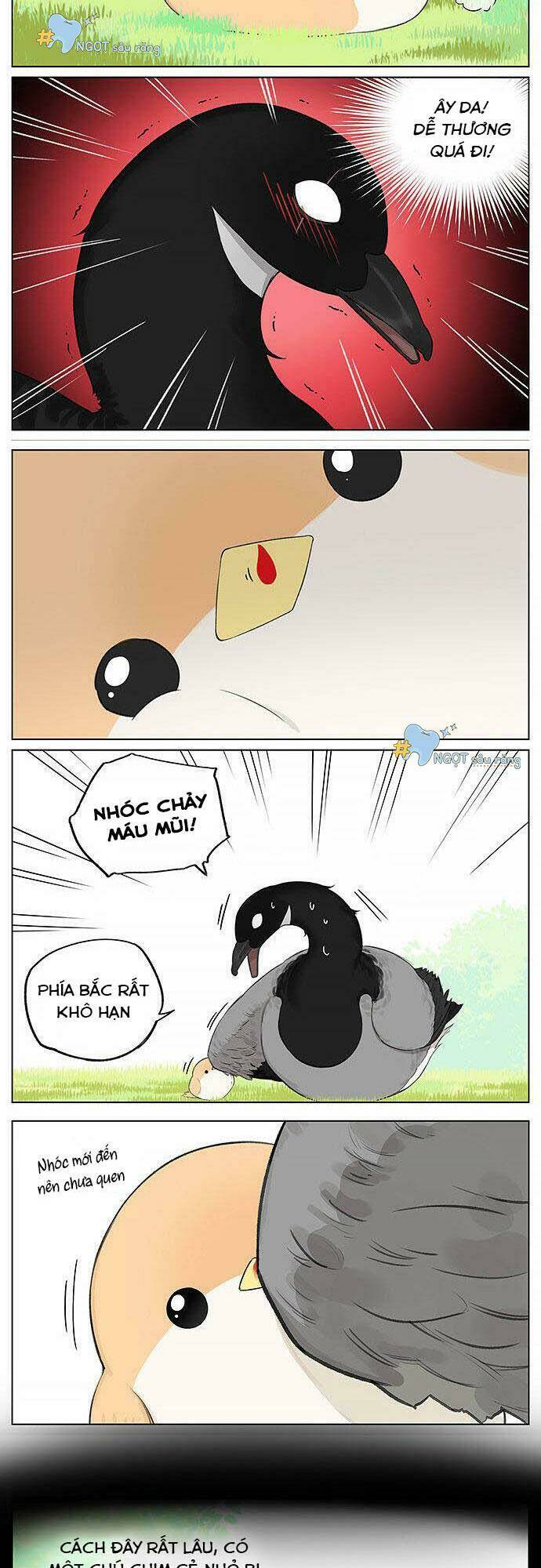 chim sẻ gọi ngỗng trời chapter 20 2