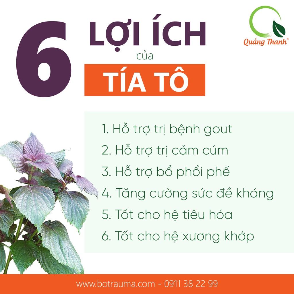 Hộp Bột tía Tô Quảng Thanh - Nguyên chất 100% - Bổ phổi phế, đẹp da, hỗ trợ giảm gút- Hộp tiện lợi