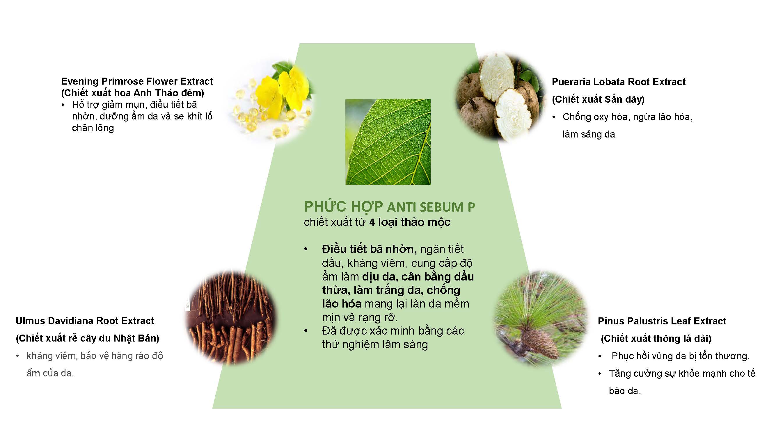 Kem đi nắng trắng da cho da mụn da dầu da hỗn hợp SMART TOUCH SUNSCREEN OIL CONTROL chai 50ml