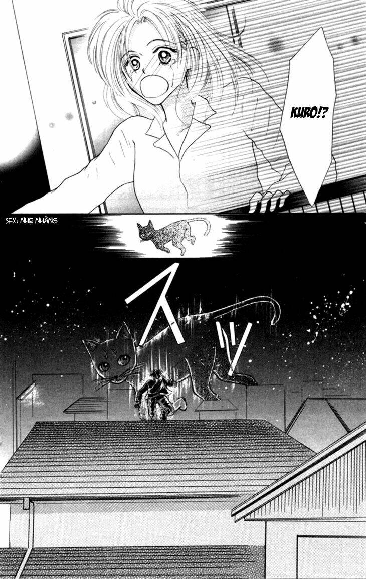 devil cat's temptation chapter 1 12