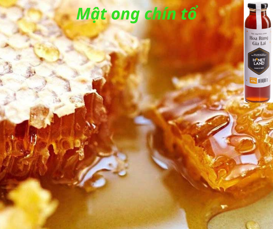 MẬT ONG HOA RỪNG GIA LAI 470G