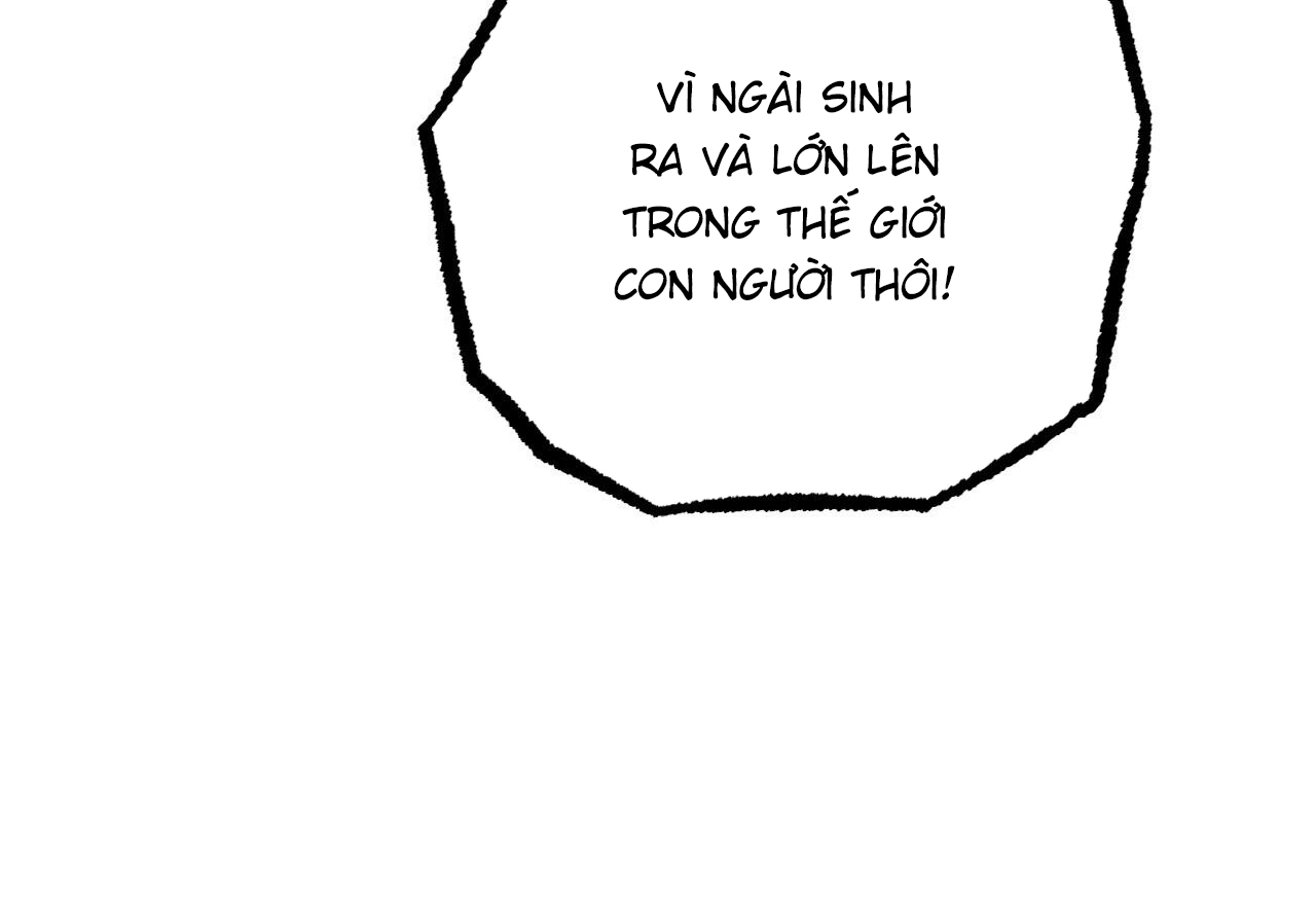 đàn thỏ của habibi chapter 62 243