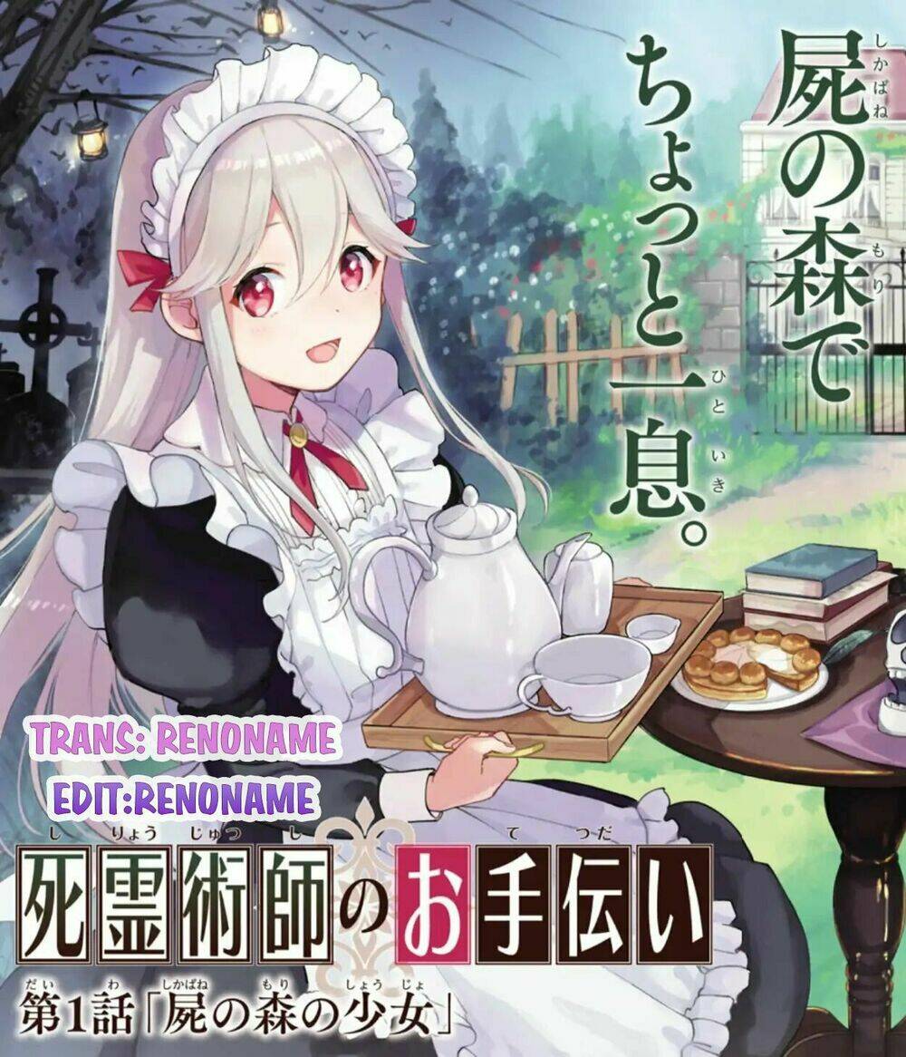 the necromancer maid chapter 1 1