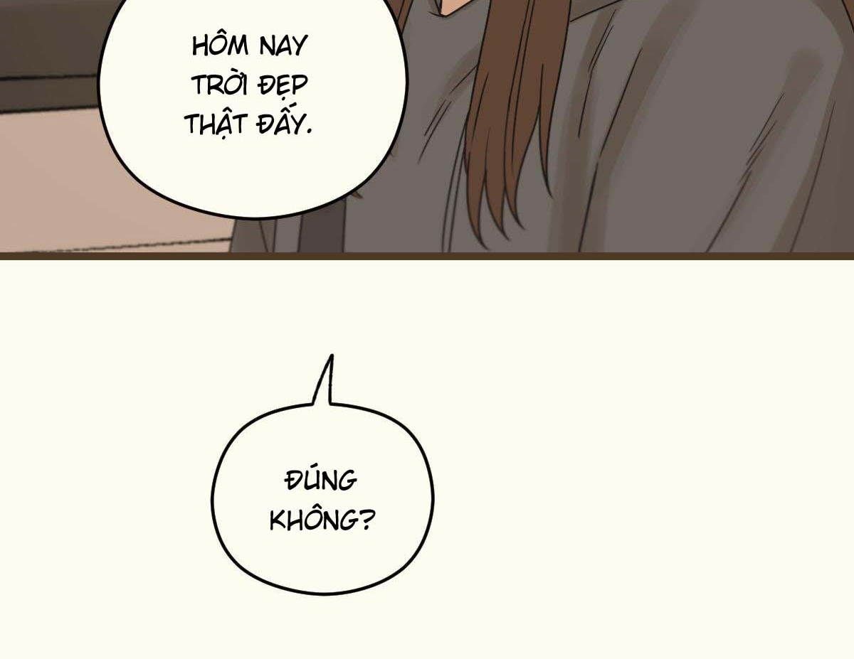 tương phùng chapter 31 249