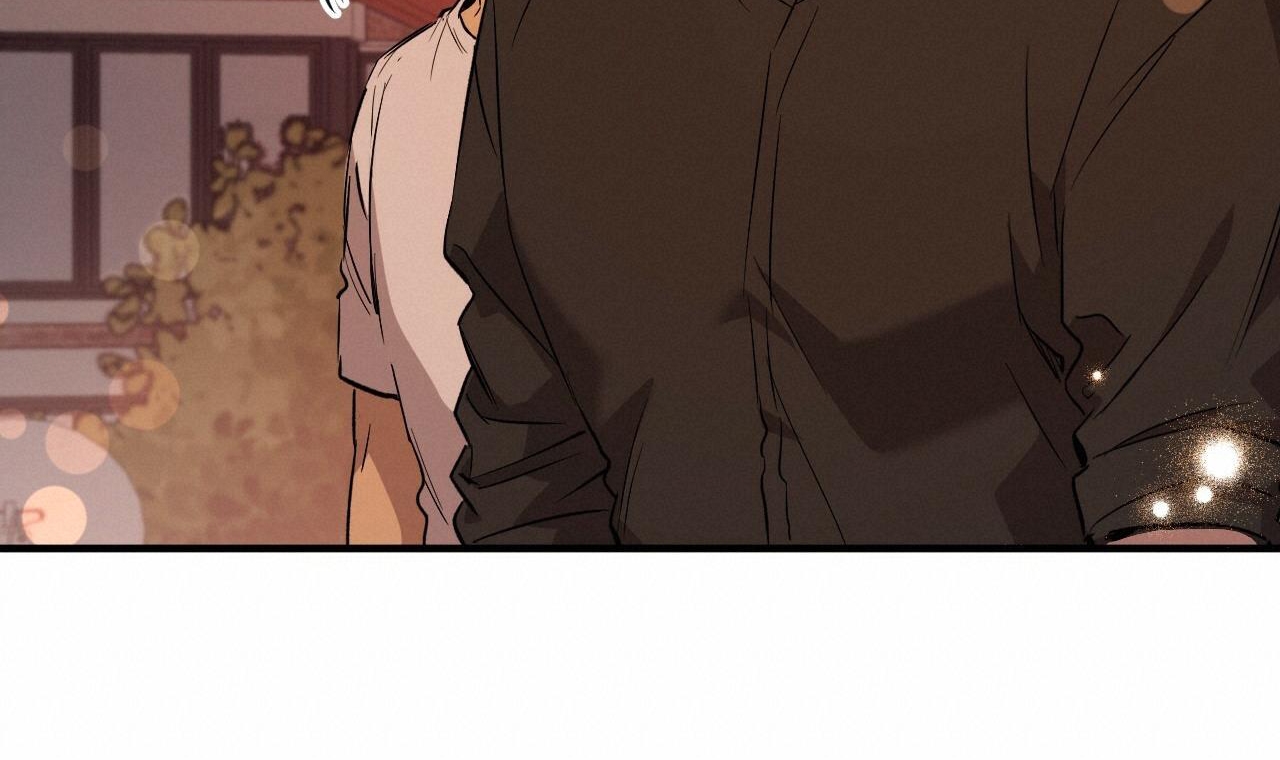 đàn thỏ của habibi chapter 56 222