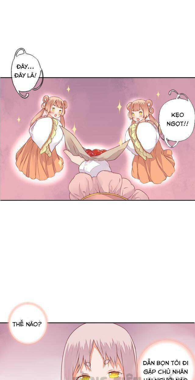 đốt đào hoa chapter 24 18