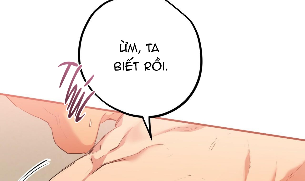 đàn thỏ của habibi chapter 25 172