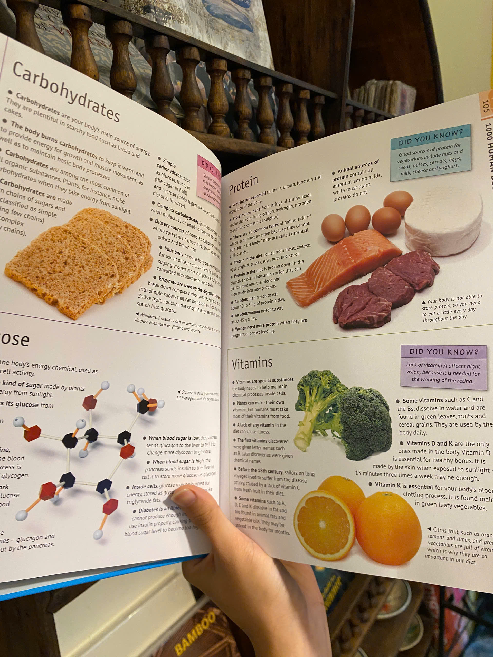 Sách - 6000 Awesome Facts: Incredible Things You'll Want To Know by Miles Kelly | Children Book