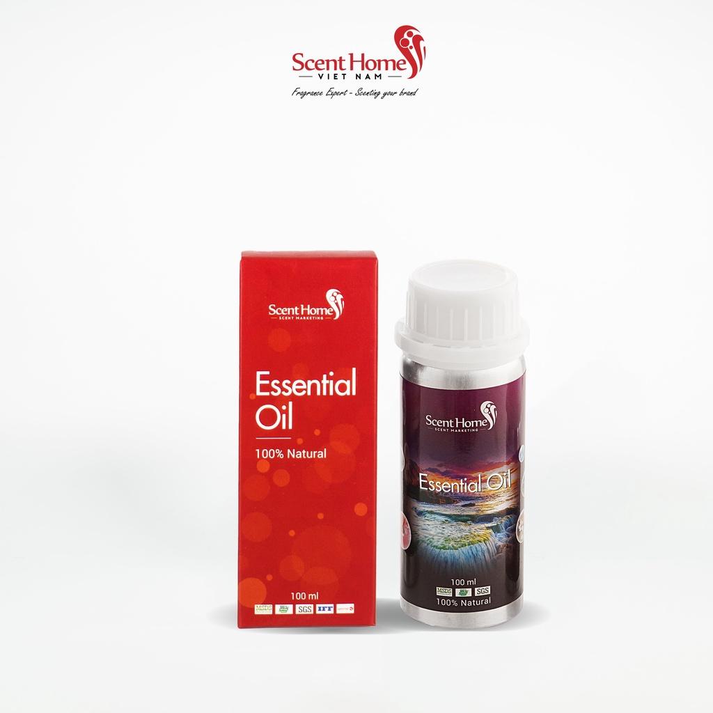 Tinh dầu Scent Homes - mùi hương