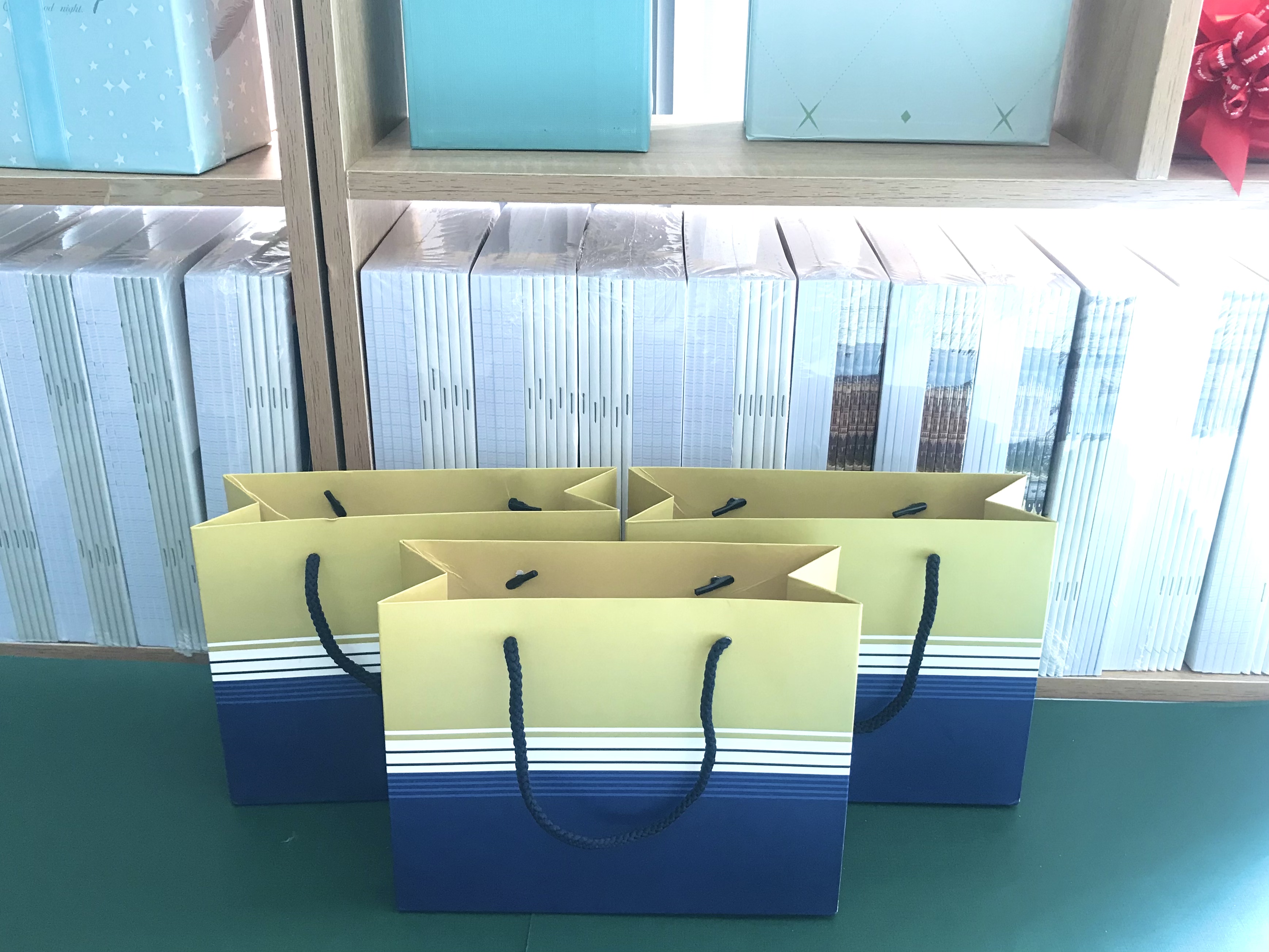 Túi giấy đựng quà 17 x 22 x 8.5