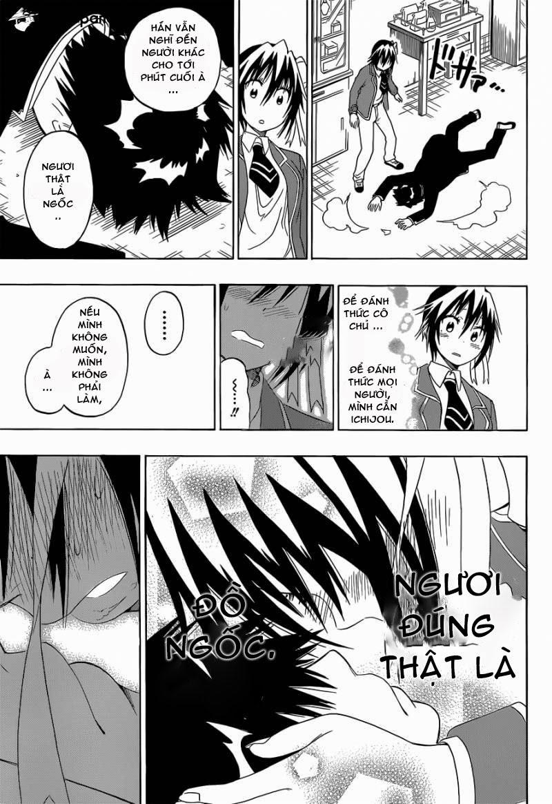 nisekoi - tình yêu giả tạo chapter 140 19