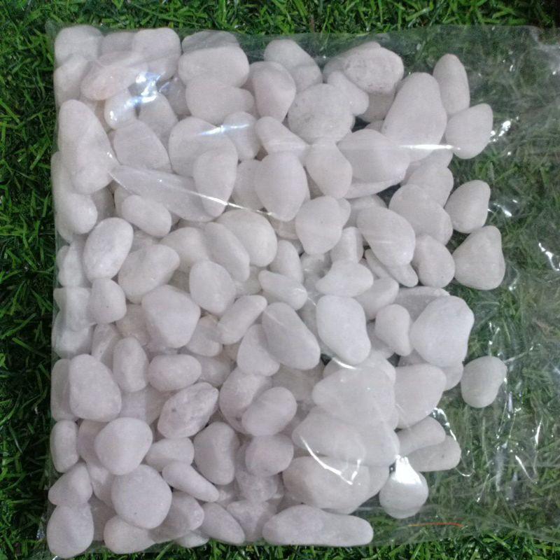 1 KG SỎI TRẮNG CỠ VỪA TRANG TRÍ BỂ CÁ,CHẬU CÂY,TIỂU CẢNH -SỎI TRẮNG
